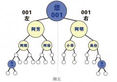 威海双轨制直销系统软件开发